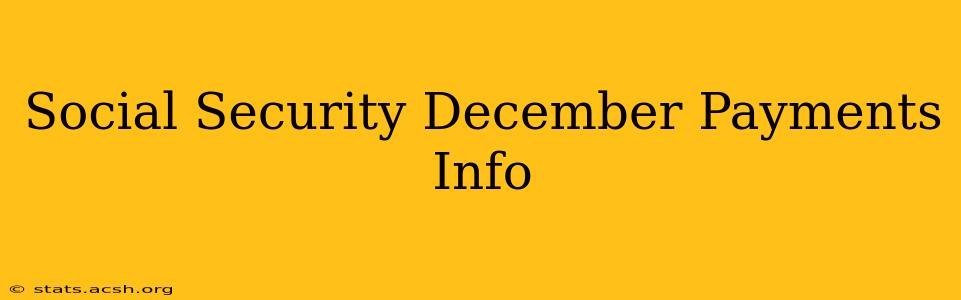 Social Security December Payments Info