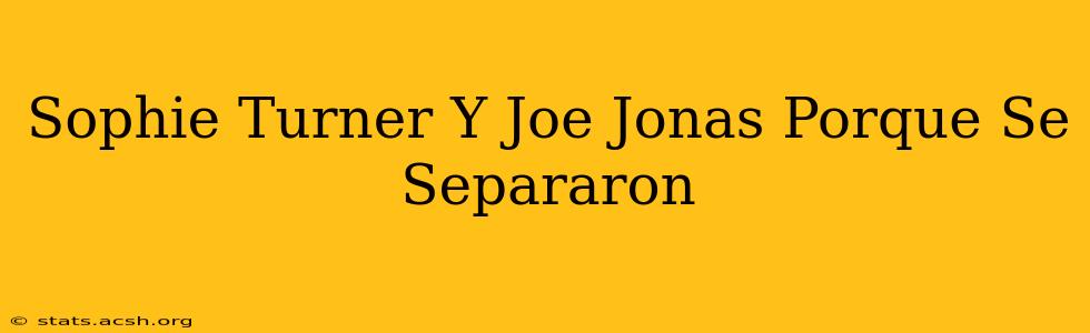 Sophie Turner Y Joe Jonas Porque Se Separaron