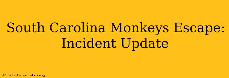 South Carolina Monkeys Escape: Incident Update