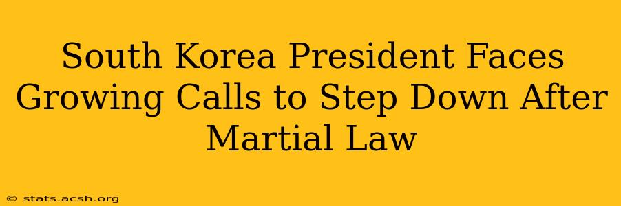 South Korea President Faces Growing Calls to Step Down After Martial Law