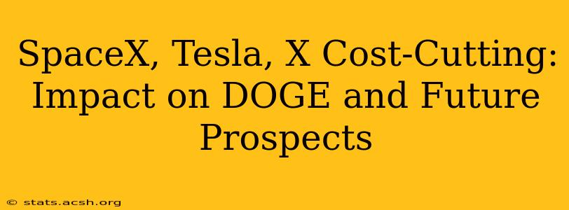 SpaceX, Tesla, X Cost-Cutting: Impact on DOGE and Future Prospects