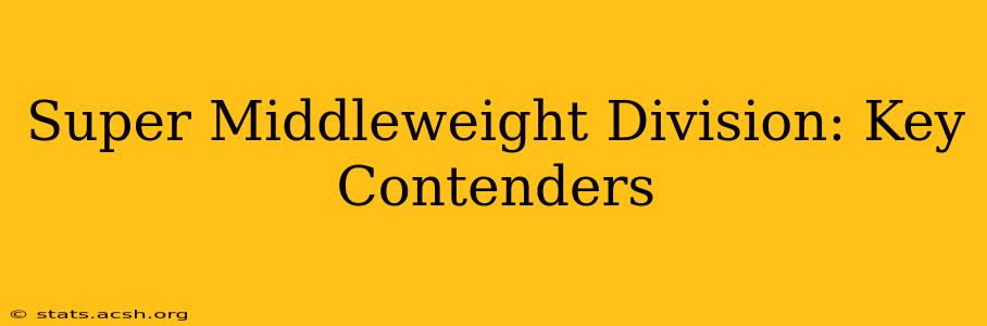 Super Middleweight Division: Key Contenders