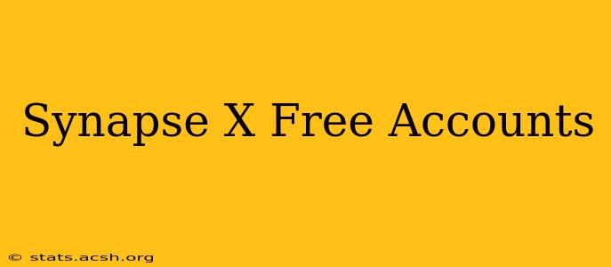 Synapse X Free Accounts