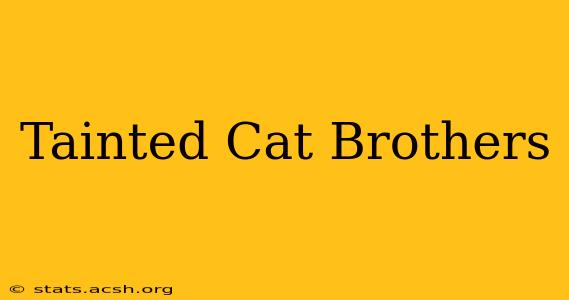 Tainted Cat Brothers