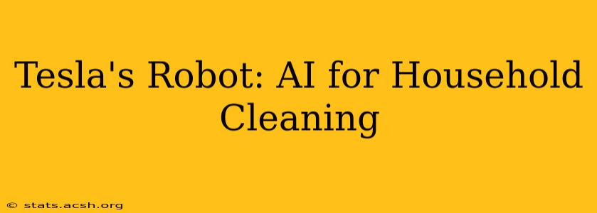 Tesla's Robot: AI for Household Cleaning