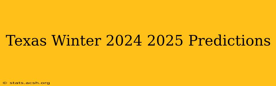 Texas Winter 2024 2025 Predictions