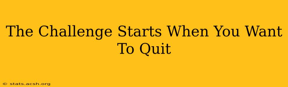 The Challenge Starts When You Want To Quit