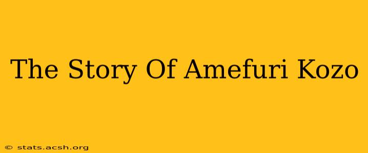 The Story Of Amefuri Kozo