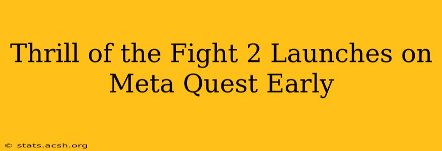 Thrill of the Fight 2 Launches on Meta Quest Early