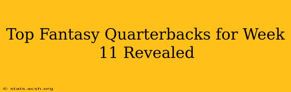 Top Fantasy Quarterbacks for Week 11 Revealed