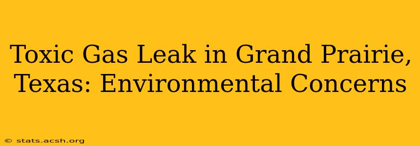 Toxic Gas Leak in Grand Prairie, Texas: Environmental Concerns