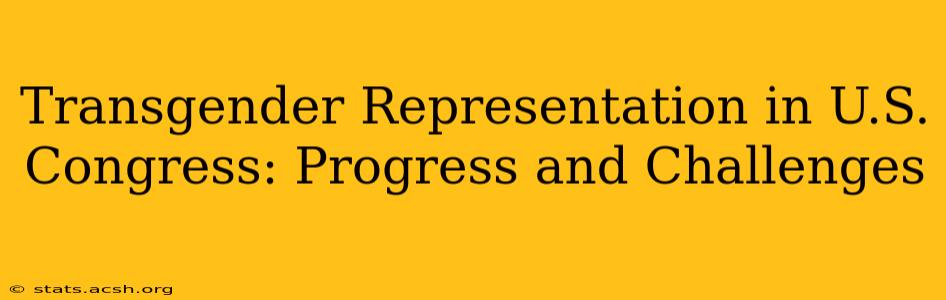 Transgender Representation in U.S. Congress: Progress and Challenges