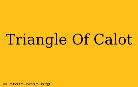 Triangle Of Calot