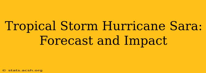 Tropical Storm Hurricane Sara: Forecast and Impact