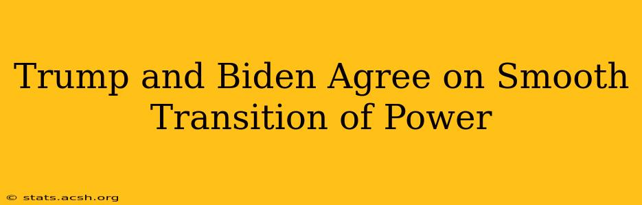 Trump and Biden Agree on Smooth Transition of Power