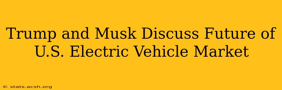 Trump and Musk Discuss Future of U.S. Electric Vehicle Market