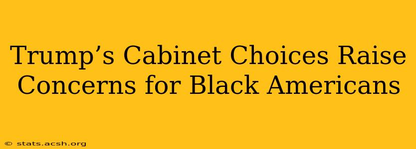 Trump’s Cabinet Choices Raise Concerns for Black Americans