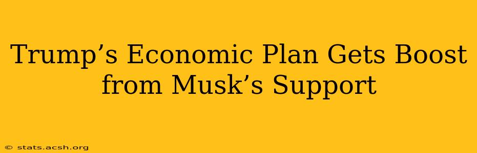 Trump’s Economic Plan Gets Boost from Musk’s Support