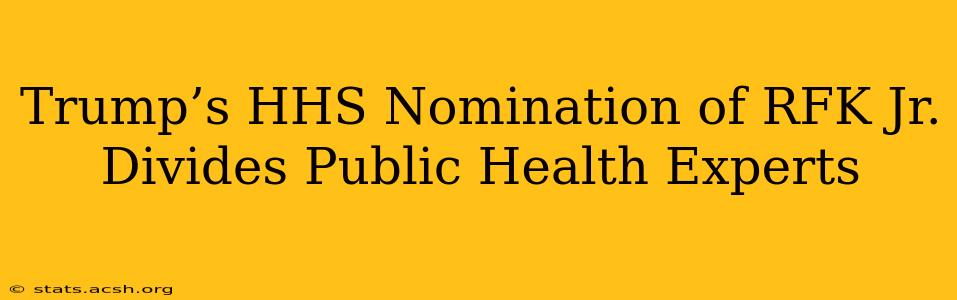 Trump’s HHS Nomination of RFK Jr. Divides Public Health Experts