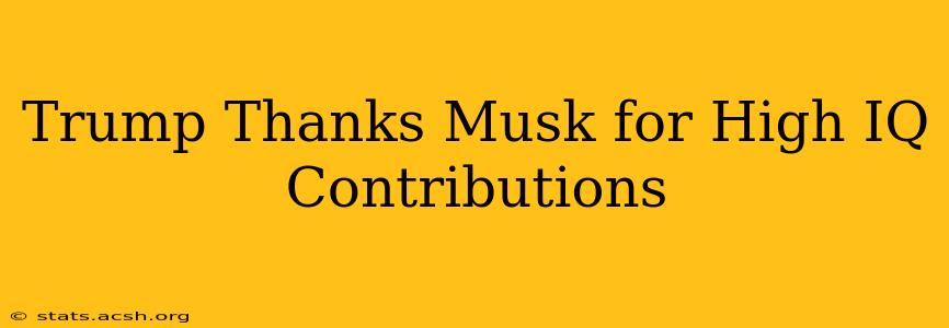 Trump Thanks Musk for High IQ Contributions