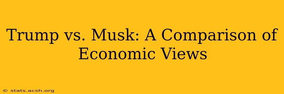 Trump vs. Musk: A Comparison of Economic Views