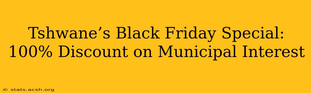 Tshwane’s Black Friday Special: 100% Discount on Municipal Interest