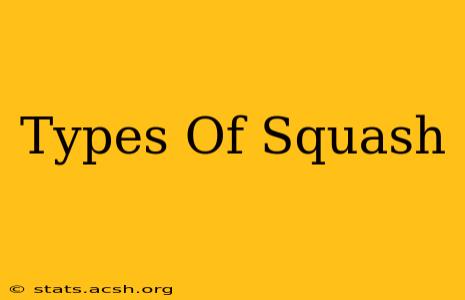 Types Of Squash