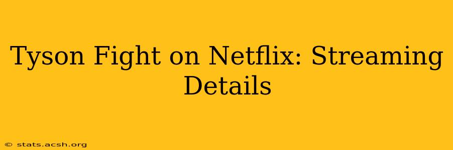 Tyson Fight on Netflix: Streaming Details