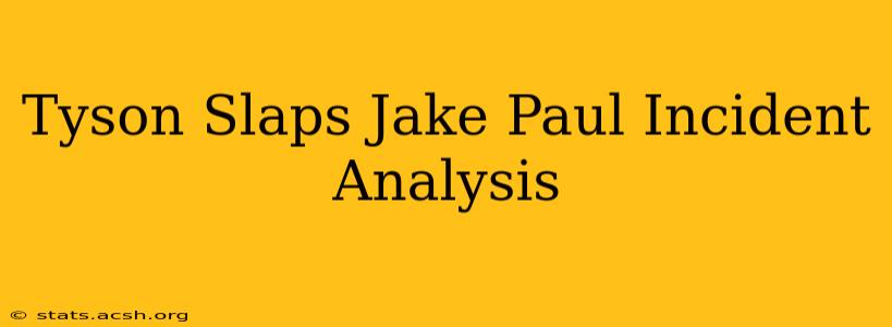 Tyson Slaps Jake Paul Incident Analysis