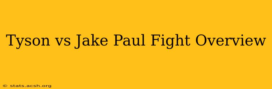 Tyson vs Jake Paul Fight Overview