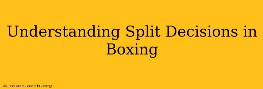 Understanding Split Decisions in Boxing