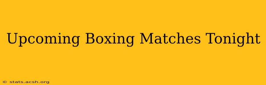 Upcoming Boxing Matches Tonight