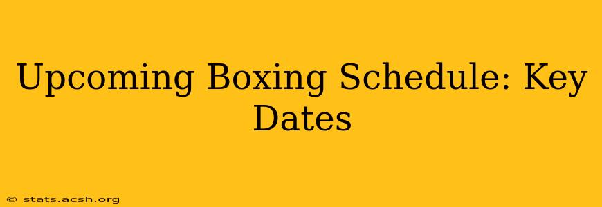 Upcoming Boxing Schedule: Key Dates