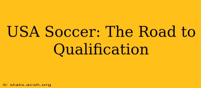 USA Soccer: The Road to Qualification