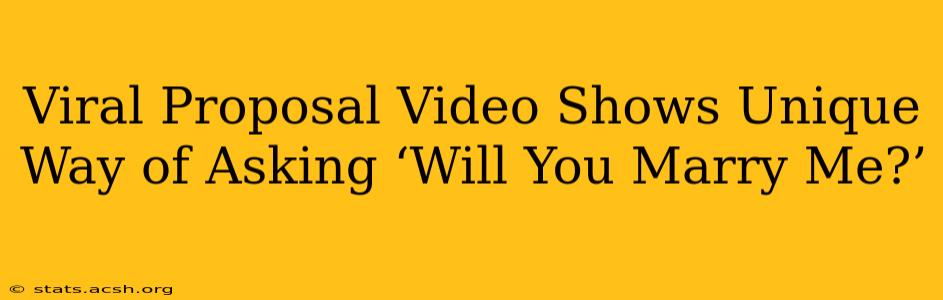 Viral Proposal Video Shows Unique Way of Asking ‘Will You Marry Me?’