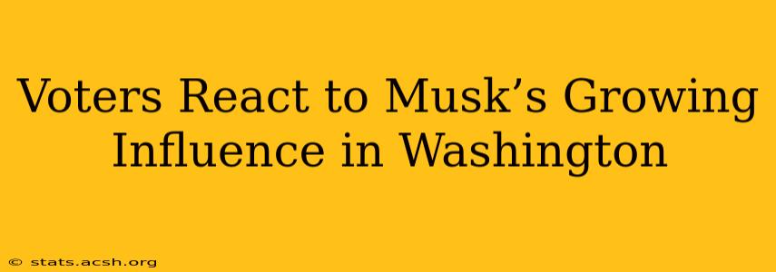 Voters React to Musk’s Growing Influence in Washington