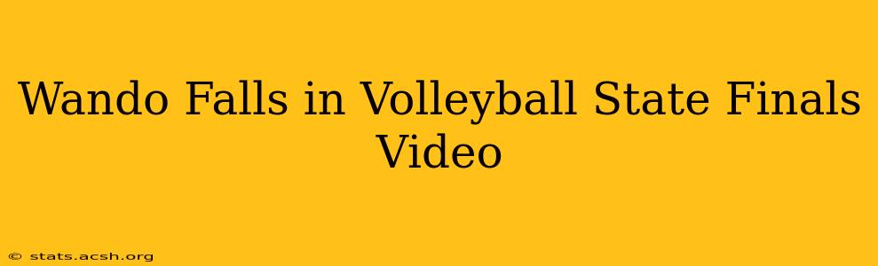 Wando Falls in Volleyball State Finals Video