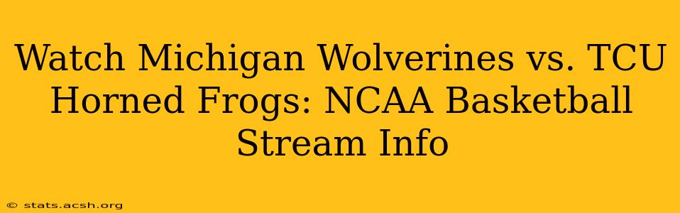 Watch Michigan Wolverines vs. TCU Horned Frogs: NCAA Basketball Stream Info