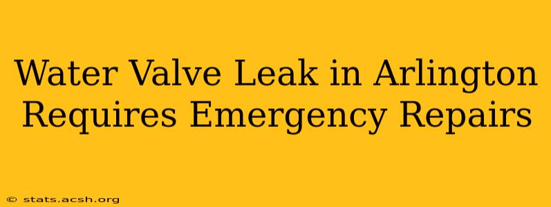 Water Valve Leak in Arlington Requires Emergency Repairs