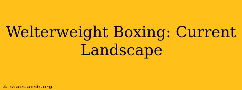 Welterweight Boxing: Current Landscape