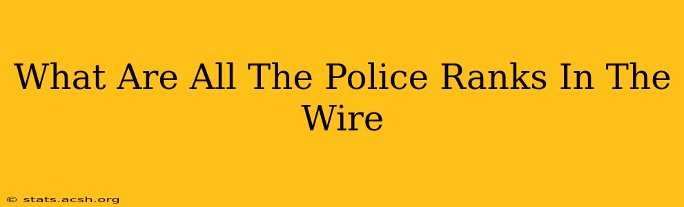 What Are All The Police Ranks In The Wire