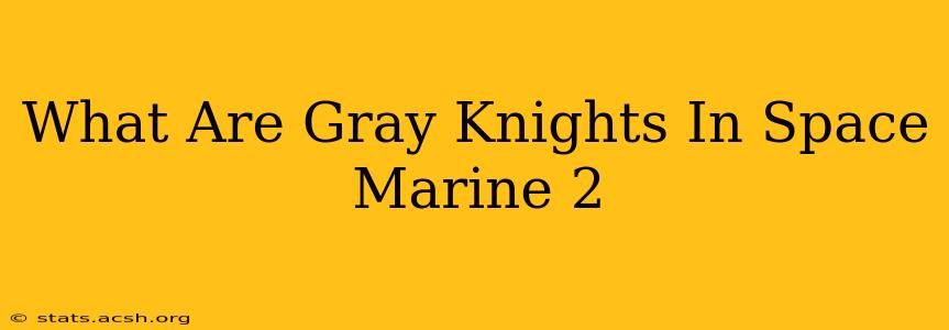 What Are Gray Knights In Space Marine 2