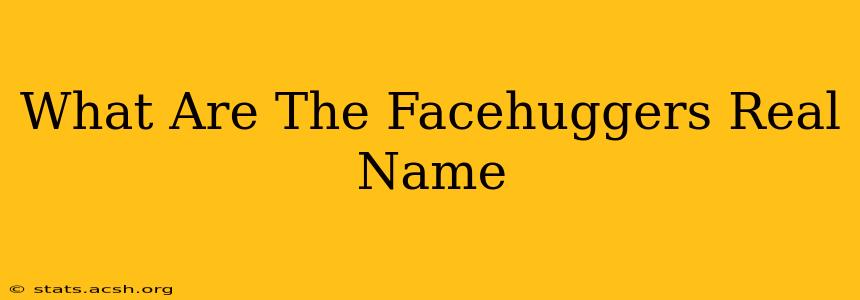 What Are The Facehuggers Real Name