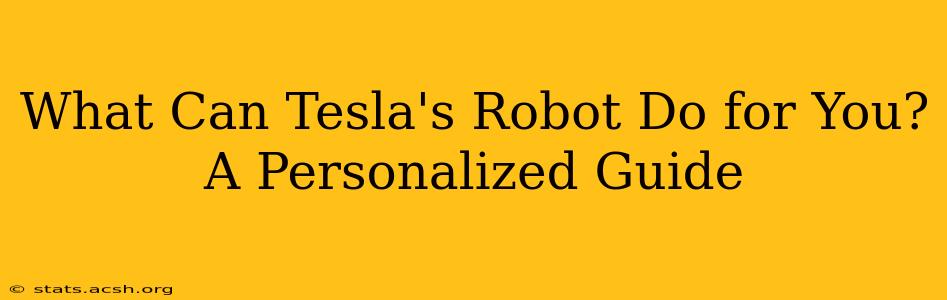 What Can Tesla's Robot Do for You? A Personalized Guide