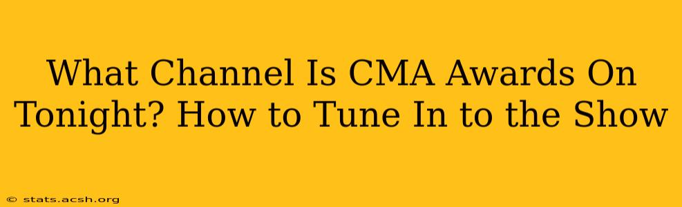 What Channel Is CMA Awards On Tonight? How to Tune In to the Show