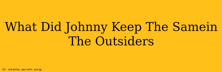 What Did Johnny Keep The Samein The Outsiders