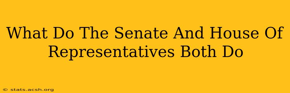 What Do The Senate And House Of Representatives Both Do