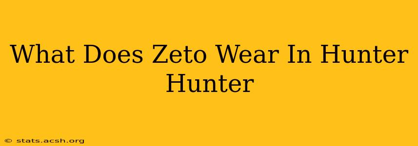 What Does Zeto Wear In Hunter Hunter