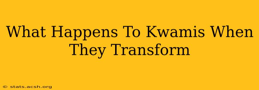 What Happens To Kwamis When They Transform