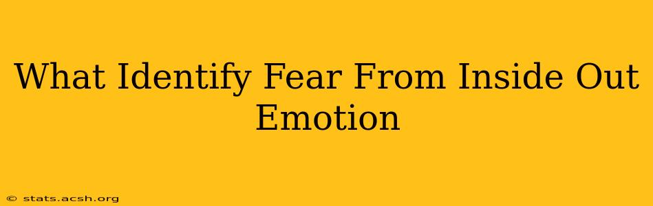 What Identify Fear From Inside Out Emotion